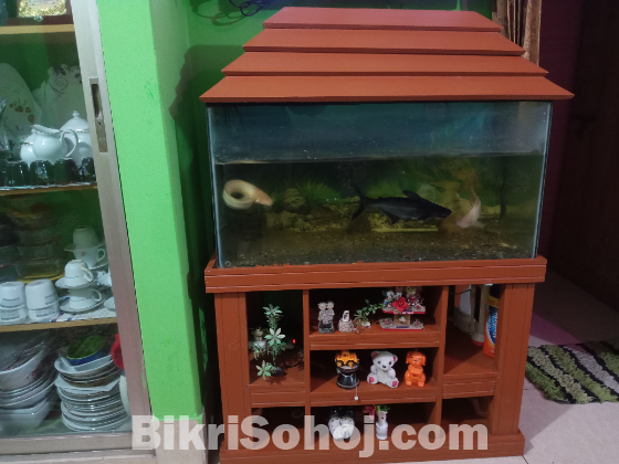 Aquarium with stand